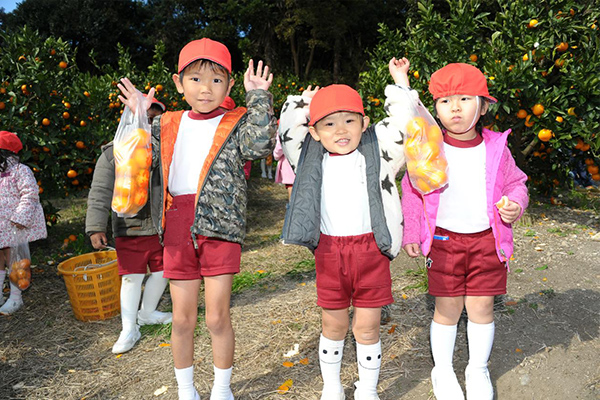 11月 みかん狩り